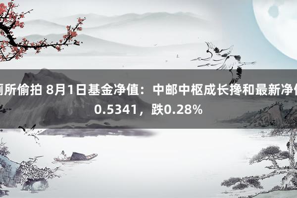 厕所偷拍 8月1日基金净值：中邮中枢成长搀和最新净值0.5341，跌0.28%