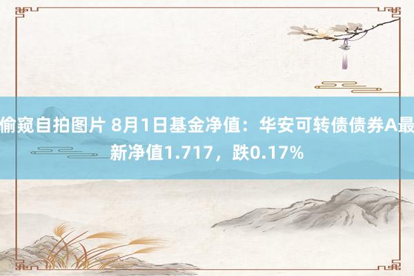 偷窥自拍图片 8月1日基金净值：华安可转债债券A最新净值1.717，跌0.17%