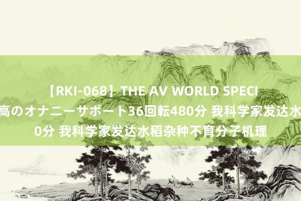 【RKI-068】THE AV WORLD SPECIAL あなただけに 最高のオナニーサポート36回転480分 我科学家发达水稻杂种不育分子机理