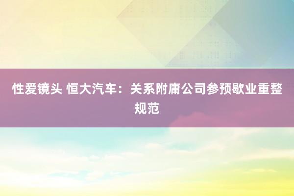 性爱镜头 恒大汽车：关系附庸公司参预歇业重整规范