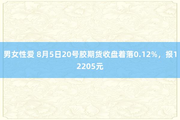 男女性爱 8月5日20号胶期货收盘着落0.12%，报12205元