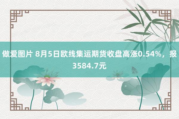 做爱图片 8月5日欧线集运期货收盘高涨0.54%，报3584.7元