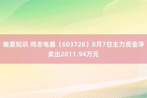 做爱知识 鸣志电器（603728）8月7日主力资金净卖出2811.94万元