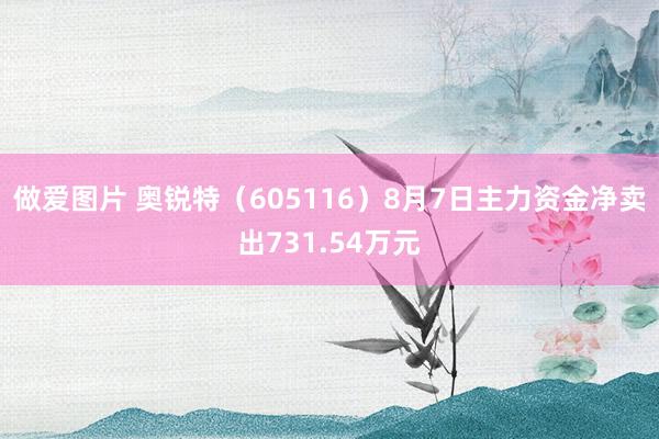 做爱图片 奥锐特（605116）8月7日主力资金净卖出731.54万元