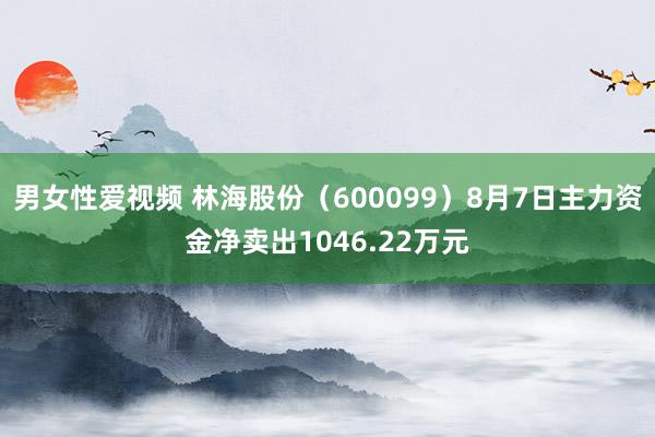 男女性爱视频 林海股份（600099）8月7日主力资金净卖出1046.22万元