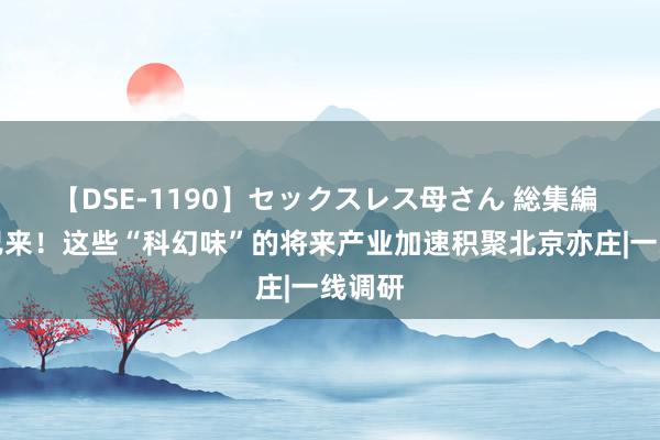 【DSE-1190】セックスレス母さん 総集編 将来已来！这些“科幻味”的将来产业加速积聚北京亦庄|一线调研