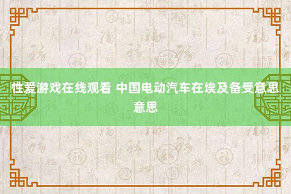 性爱游戏在线观看 中国电动汽车在埃及备受意思意思