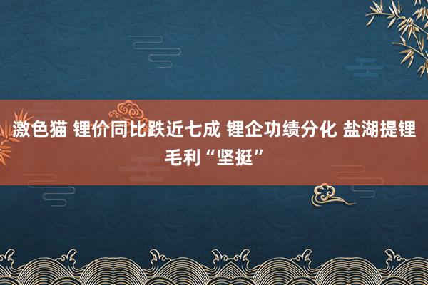 激色猫 锂价同比跌近七成 锂企功绩分化 盐湖提锂毛利“坚挺”