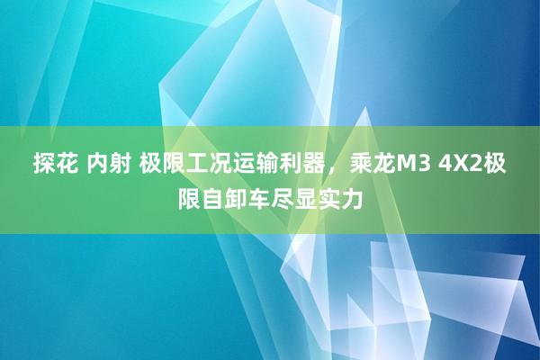 探花 av 不同品牌的新动力汽车，充电桩能通用吗？