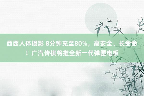 西西人体摄影 8分钟充至80%，高安全、长命命！广汽传祺将推全新一代弹匣电板