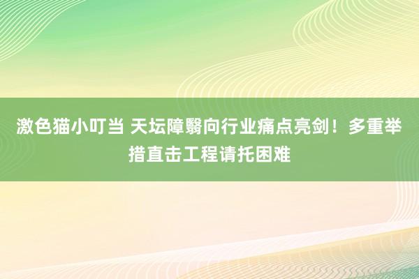 激色猫小叮当 天坛障翳向行业痛点亮剑！多重举措直击工程请托困难