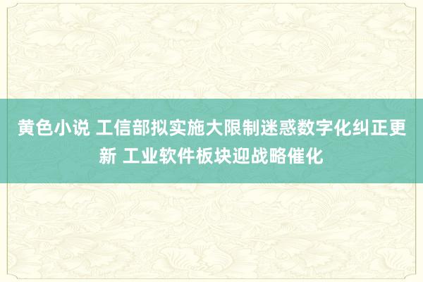 黄色小说 工信部拟实施大限制迷惑数字化纠正更新 工业软件板块迎战略催化