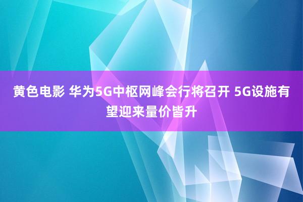 黄色电影 华为5G中枢网峰会行将召开 5G设施有望迎来量价皆升