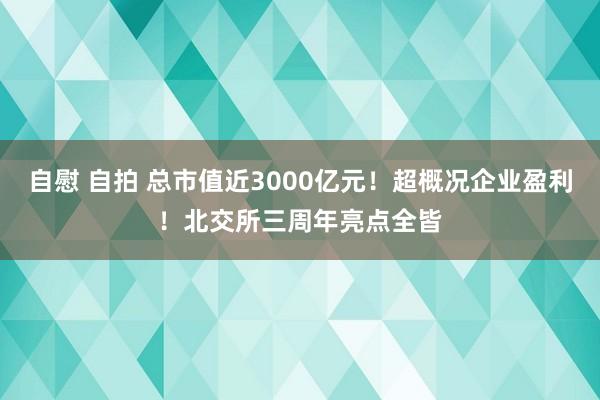 自慰 自拍 总市值近3000亿元！超概况企业盈利！北交所三周年亮点全皆