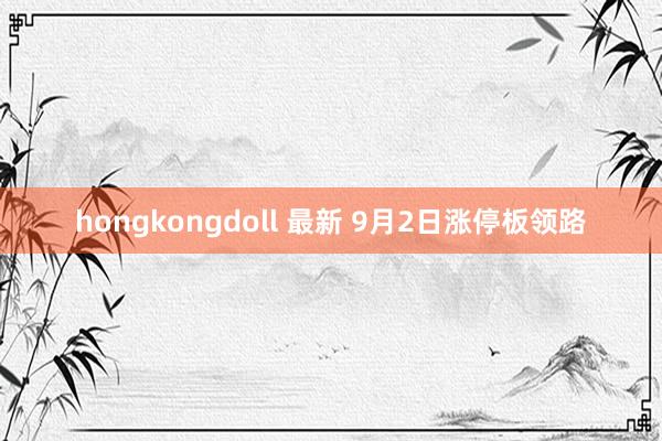 hongkongdoll 最新 9月2日涨停板领路