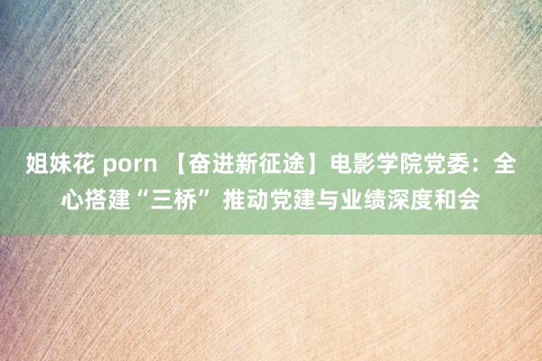 姐妹花 porn 【奋进新征途】电影学院党委：全心搭建“三桥” 推动党建与业绩深度和会