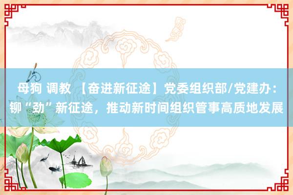 母狗 调教 【奋进新征途】党委组织部/党建办：铆“劲”新征途，推动新时间组织管事高质地发展