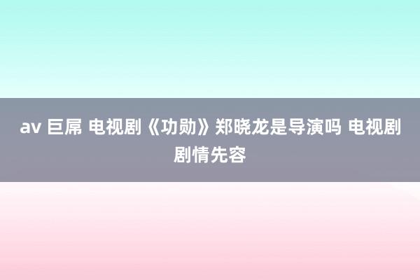 av 巨屌 电视剧《功勋》郑晓龙是导演吗 电视剧剧情先容