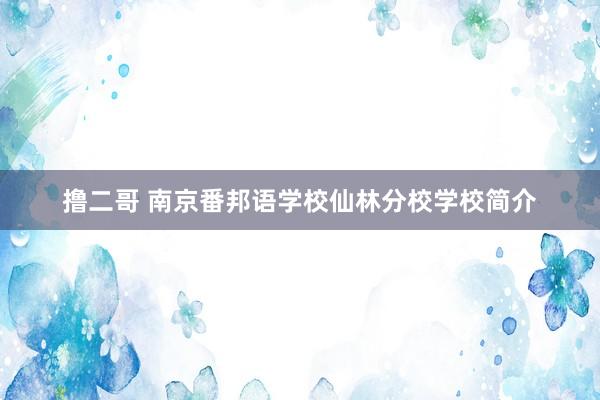 撸二哥 南京番邦语学校仙林分校学校简介